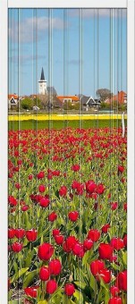 Браво-008 складная (ПГ) Т - 2