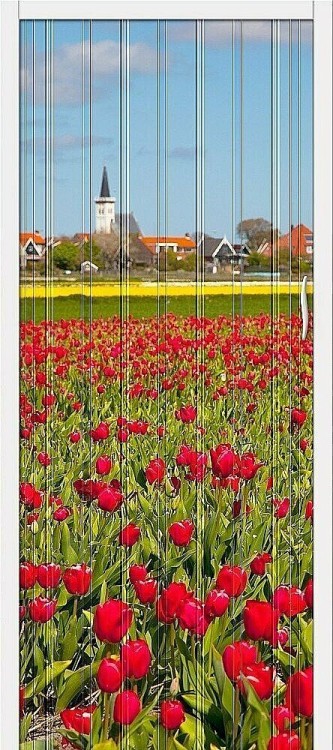 Браво-008 складная (ПГ) Т - 2